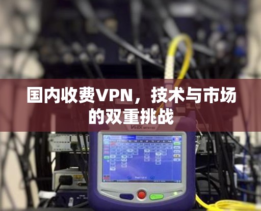 国内收费VPN，技术与市场的双重挑战