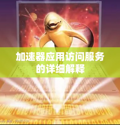 加速器应用访问服务的详细解释 加速器应用访问服务的详细解释