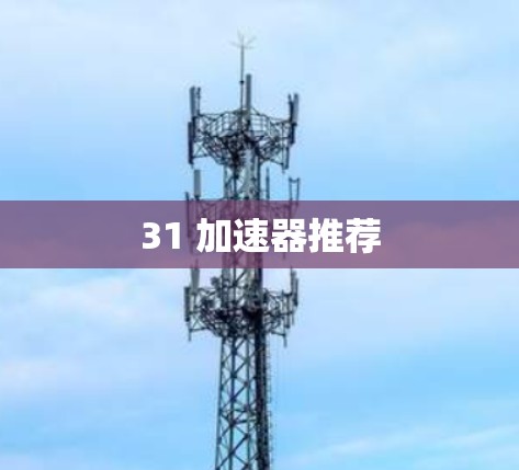 31 加速器推荐