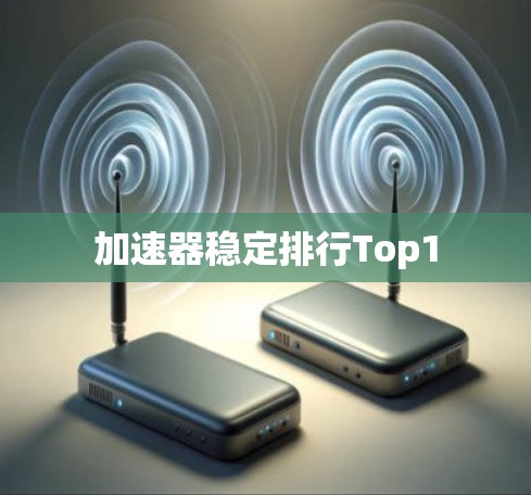 加速器稳定排行Top1 加速器稳定排行Top1