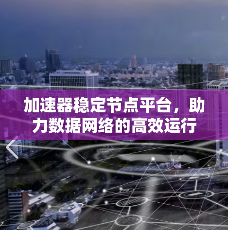 加速器稳定节点平台，助力数据网络的高效运行