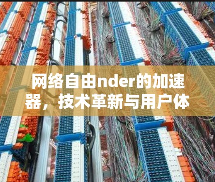 网络自由nder的加速器，技术革新与用户体验的平衡