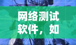 网络测试软件，如加速器网络测速软件，是一个高效、专业的工具，帮助用户评估和优化网络性能。以下是使用该软件的步骤和建议