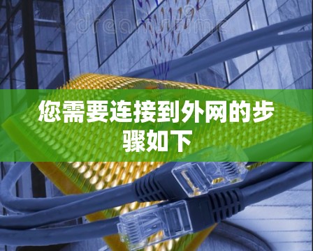 您需要连接到外网的步骤如下