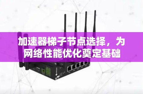 加速器梯子节点选择，为网络性能优化奠定基础