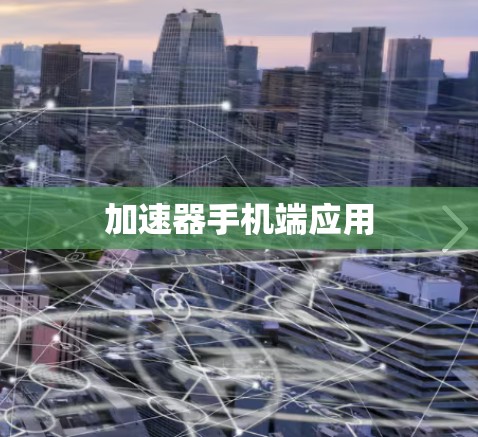 加速器手机端应用 加速器手机端应用