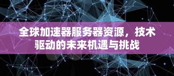 全球加速器服务器资源，技术驱动的未来机遇与挑战