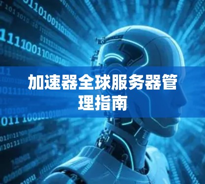 加速器全球服务器管理指南 加速器全球服务器管理指南
