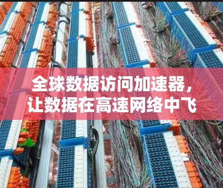 全球数据访问加速器,让数据在高速网络中飞越 全球数据访问加速器,让数据在高速网络中飞越