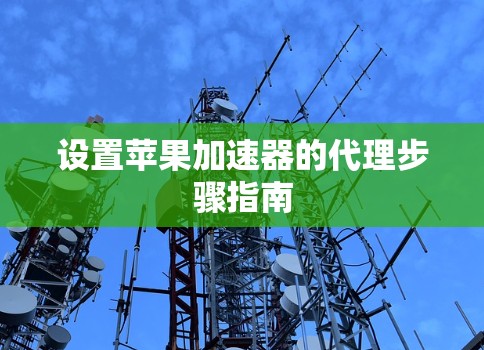 设置苹果加速器的代理步骤指南
