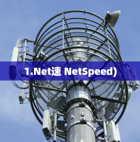 1.Net速 NetSpeed)