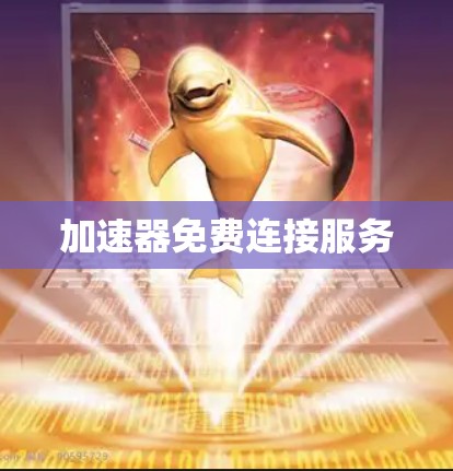 加速器免费连接服务