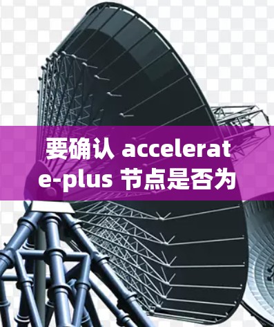 要确认 accelerate-plus 节点是否为免费节点并支持加速编译器，按照以下步骤操作