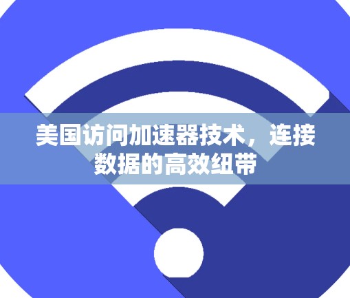 美国访问加速器技术，连接数据的高效纽带