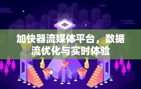 加快器流媒体平台，数据流优化与实时体验