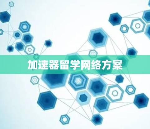 加速器留学网络方案