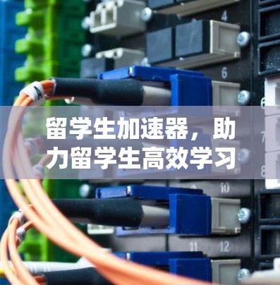 留学生加速器，助力留学生高效学习的全新解决方案