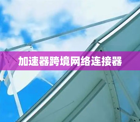 加速器跨境网络连接器