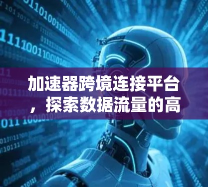 加速器跨境连接平台，探索数据流量的高效传输