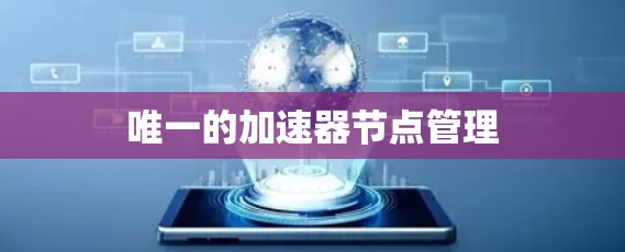 唯一的加速器节点管理