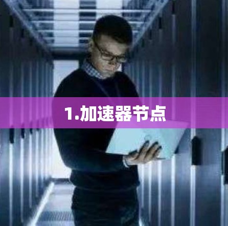 1.加速器节点 1.加速器节点
