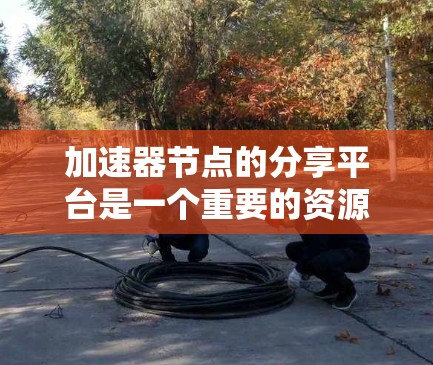 加速器节点的分享平台是一个重要的资源库，帮助开发者和研究人员在GPU上加速计算任务，提升效率。以下是对这个领域的一些详细信息