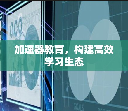 加速器教育，构建高效学习生态