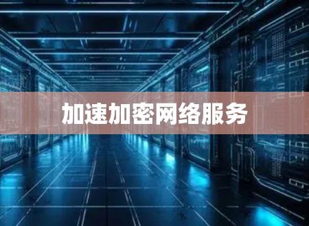 加速加密网络服务 加速加密网络服务