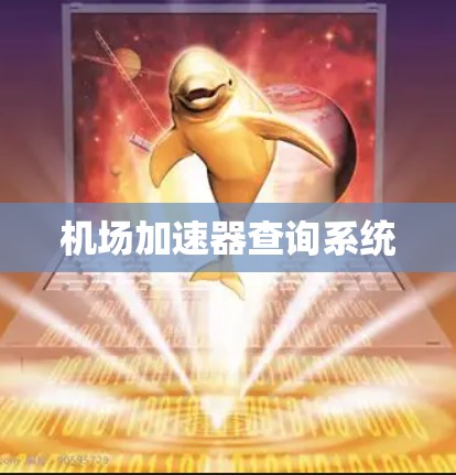 机场加速器查询系统