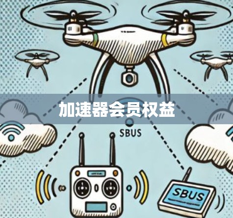 加速器会员权益 加速器会员权益