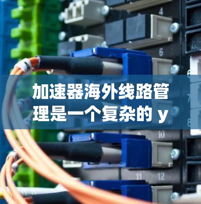 加速器海外线路管理是一个复杂的 yet 经常需要的领域，涉及多个方面，从硬件设备到安全配置，再到网络管理。以下是对该领域的一些总结和逐步学习建议