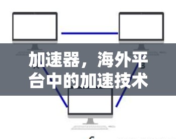 加速器，海外平台中的加速技术探索