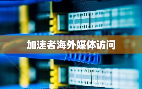加速者海外媒体访问 加速者海外媒体访问