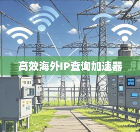 高效海外IP查询加速器