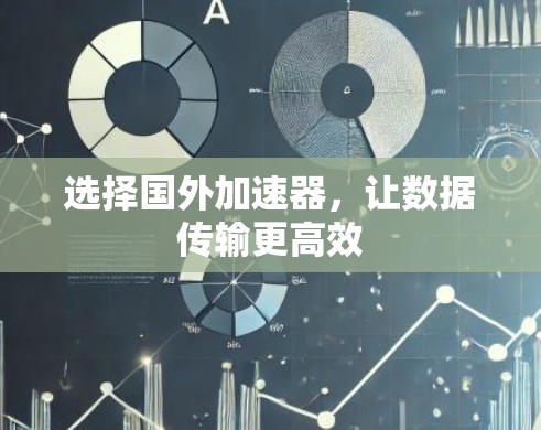 选择国外加速器，让数据传输更高效