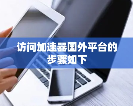 访问加速器国外平台的步骤如下