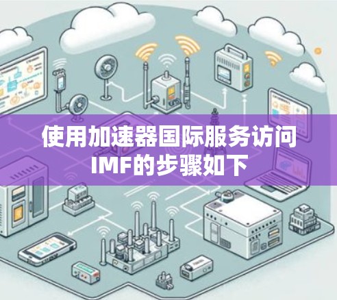 使用加速器国际服务访问IMF的步骤如下