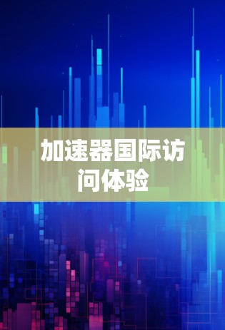 加速器国际访问体验