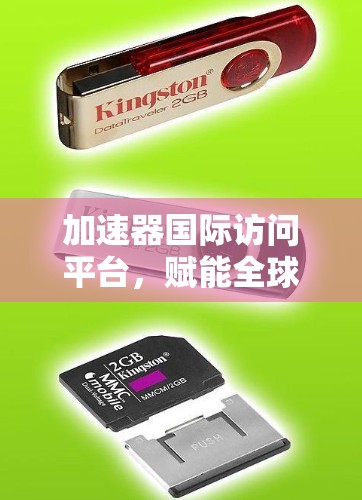 加速器国际访问平台，赋能全球通信与数据共享