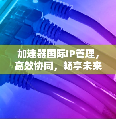 加速器国际IP管理,高效协同,畅享未来 加速器国际IP管理,高效协同,畅享未来