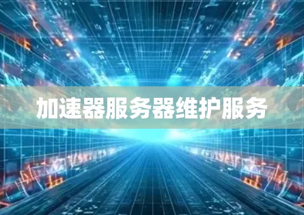 加速器服务器维护服务