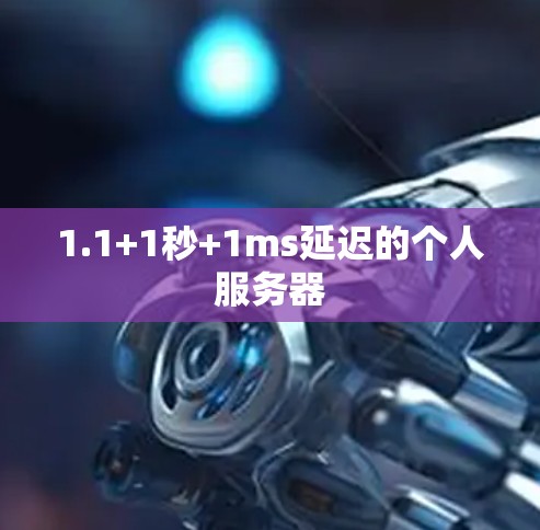 1.1+1秒+1ms延迟的个人服务器 1.1+1秒+1ms延迟的个人服务器