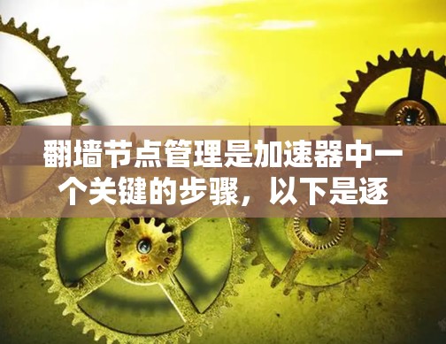 翻墙节点管理是加速器中一个关键的步骤,以下是逐步的指南 翻墙节点管理是加速器中一个关键的步骤,以下是逐步的指南