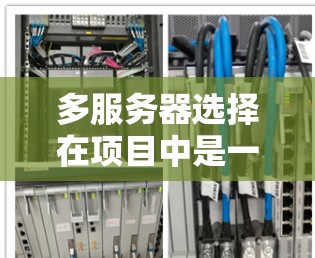 多服务器选择在项目中是一个强大的工具，能够显著提升开发和部署效率，同时确保资源的稳定性和一致性。以下是对多服务器选择的详细分析和建议
