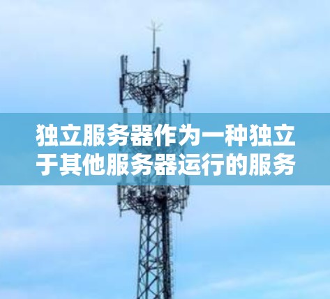 独立服务器作为一种独立于其他服务器运行的服务器类型，特别适用于需要多个加速器服务器运行的情况。以下是对独立服务器的详细分析和建议