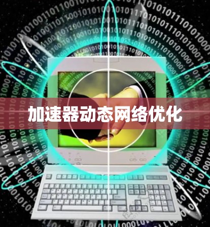 加速器动态网络优化 加速器动态网络优化