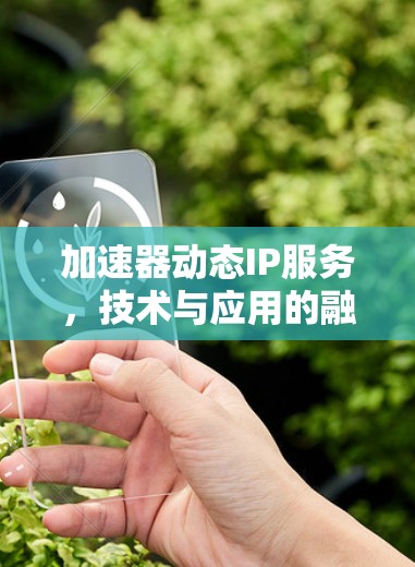 加速器动态IP服务,技术与应用的融合 加速器动态IP服务,技术与应用的融合