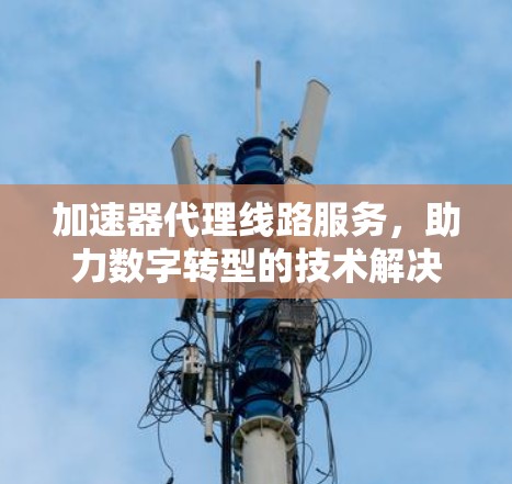 加速器代理线路服务,助力数字转型的技术解决方案 加速器代理线路服务,助力数字转型的技术解决方案