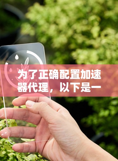 为了正确配置加速器代理,以下是一步步的指导 为了正确配置加速器代理,以下是一步步的指导