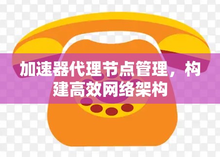 加速器代理节点管理，构建高效网络架构